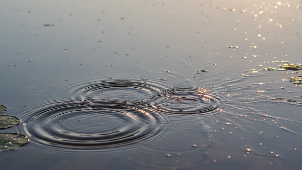 Choosing Between the Elite Strap and Lightweight Alternatives for Quest Two Wearability